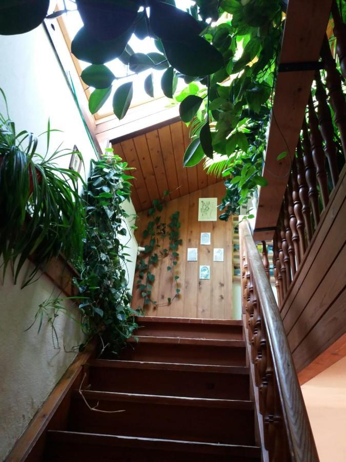 Bed and Breakfast Koestlhof, Familie Hassler Обердраубург Екстер'єр фото